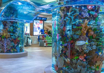 Scheels Mt Scheels, Billings, MT - RLE